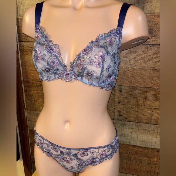 🎀 Victoria's Secret Dream Angels Hummingbird Bra & Panty Set - Picture 3 of 7